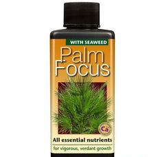 PALM FOCUS 300 ML