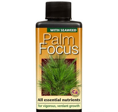 PALM FOCUS 100 ML