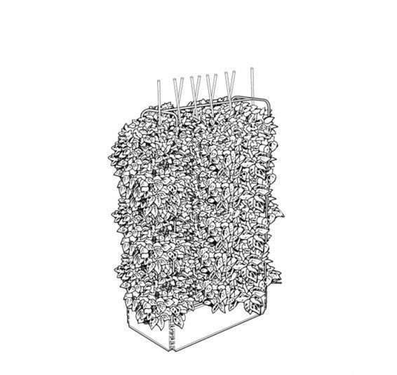 MINI KWEEKBAK MET KLIMFRAME