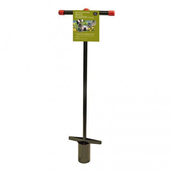  BOLLENPLANTER MET STEEL