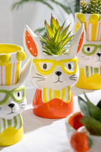 J-LINE FLOWERPOT 2 PARTS RABBIT DOLOMITE MIX LARGE ASSORTMENT OF 3 - Tuincentrum Lopik