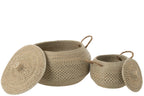 Set Of 2 Basket Handles+Lid Seagrass/Plastic Natural/White - Tuincentrum Lopik