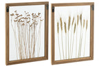 J-LINE WANDDECORATIE CEREAL GRENS DENNENHOUT/GLAS TRANSPARANT/BRUIN (SET VAN 2)