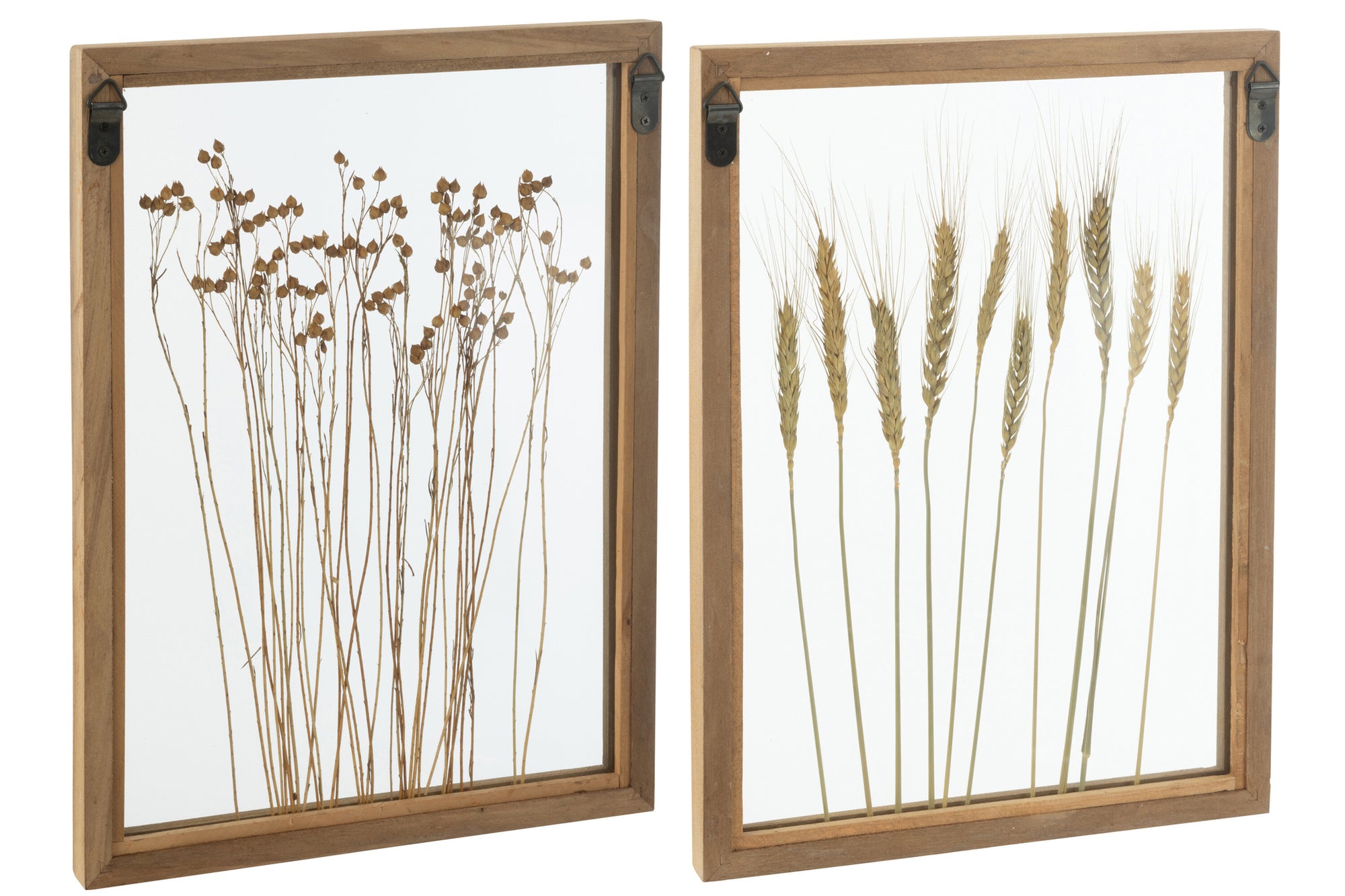 J-LINE WANDDECORATIE CEREAL GRENS DENNENHOUT/GLAS TRANSPARANT/BRUIN (SET VAN 2)