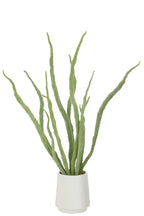 J-LINE KUNSTPLANT SUCCULENT IN POT KUNSTGROEN - Tuincentrum Lopik