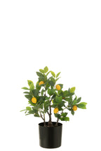 J-LINE CITROENBOOM POT KUNSTMATIG GROEN KLEIN - Tuincentrum Lopik