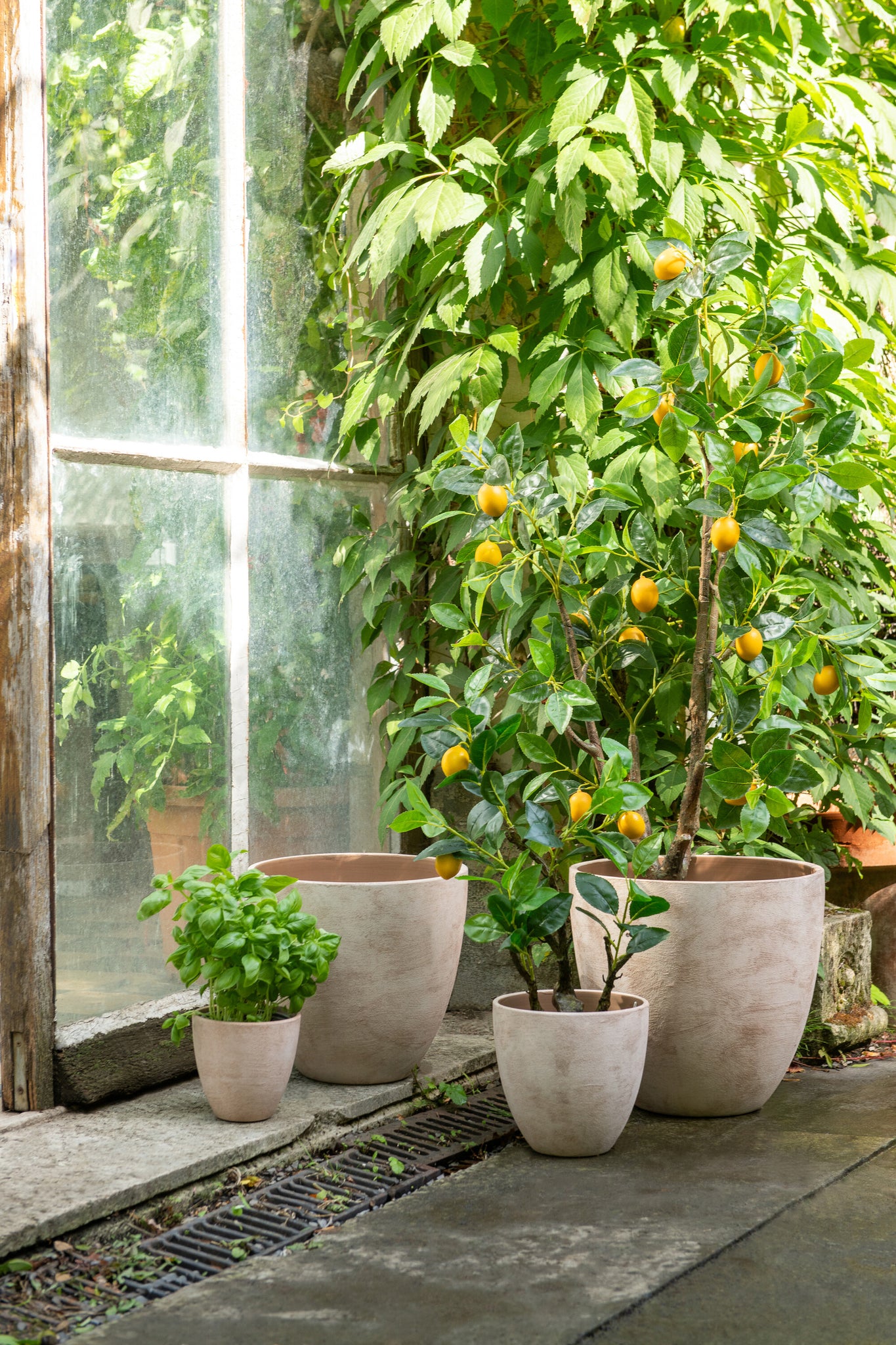 J-LINE CITROENBOOM POT KUNSTMATIG GROEN GROOT - Tuincentrum Lopik