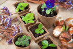 kweekpot D 6 x 6 cm 18 stuks