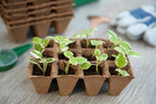 Biologisch afbreekbare turfpotjes H5x4x4cm
