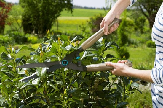  HEGGENSCHAAR NATURECUT 23 CM