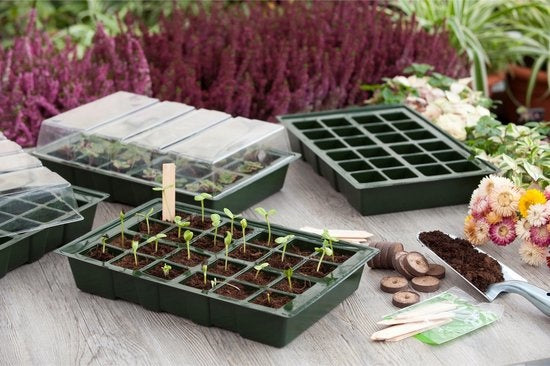 Kweekbakset - Kweekbakken - 23.5x35x10.5 cm Groen Transparant 4 stuks