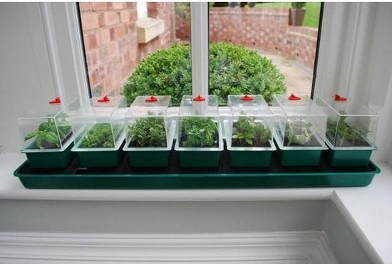 SUPER 7 ZELF BEWATERENDE PROPAGATOR 76X18.5X17CM
