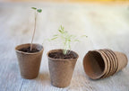kweekpot D 6 x 6 cm 18 stuks