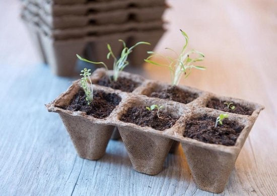 TURFPOTTRAYS 5X5X5 CM