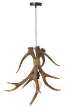 J-LINE PLAFONDLAMP GEWEIEN POLYRESIN BRUIN GROOT - Tuincentrum Lopik
