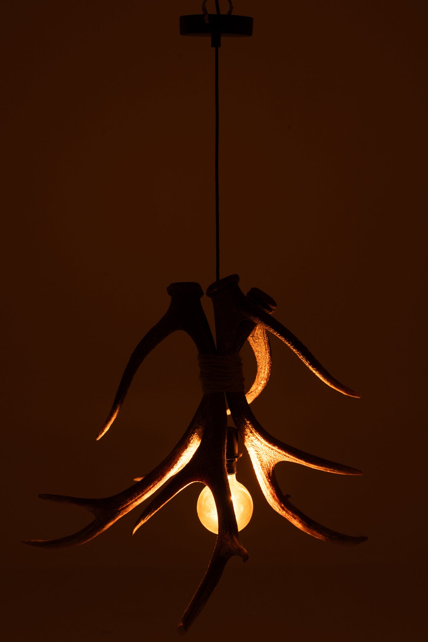 J-LINE PLAFONDLAMP GEWEIEN POLYRESIN BRUIN GROOT - Tuincentrum Lopik