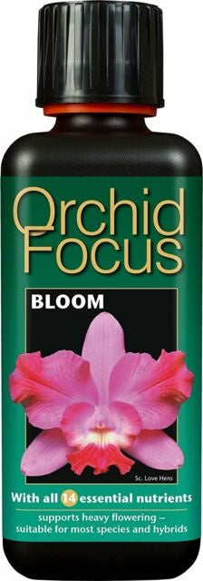ORCHID FOCUS BLOOM  100ML