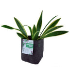 TRANSPLANTER POT 15 LITER 28X23X23CM