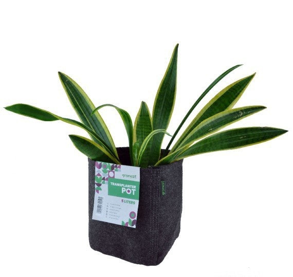 TRANSPLANTER POT 15 LITER 28X23X23CM