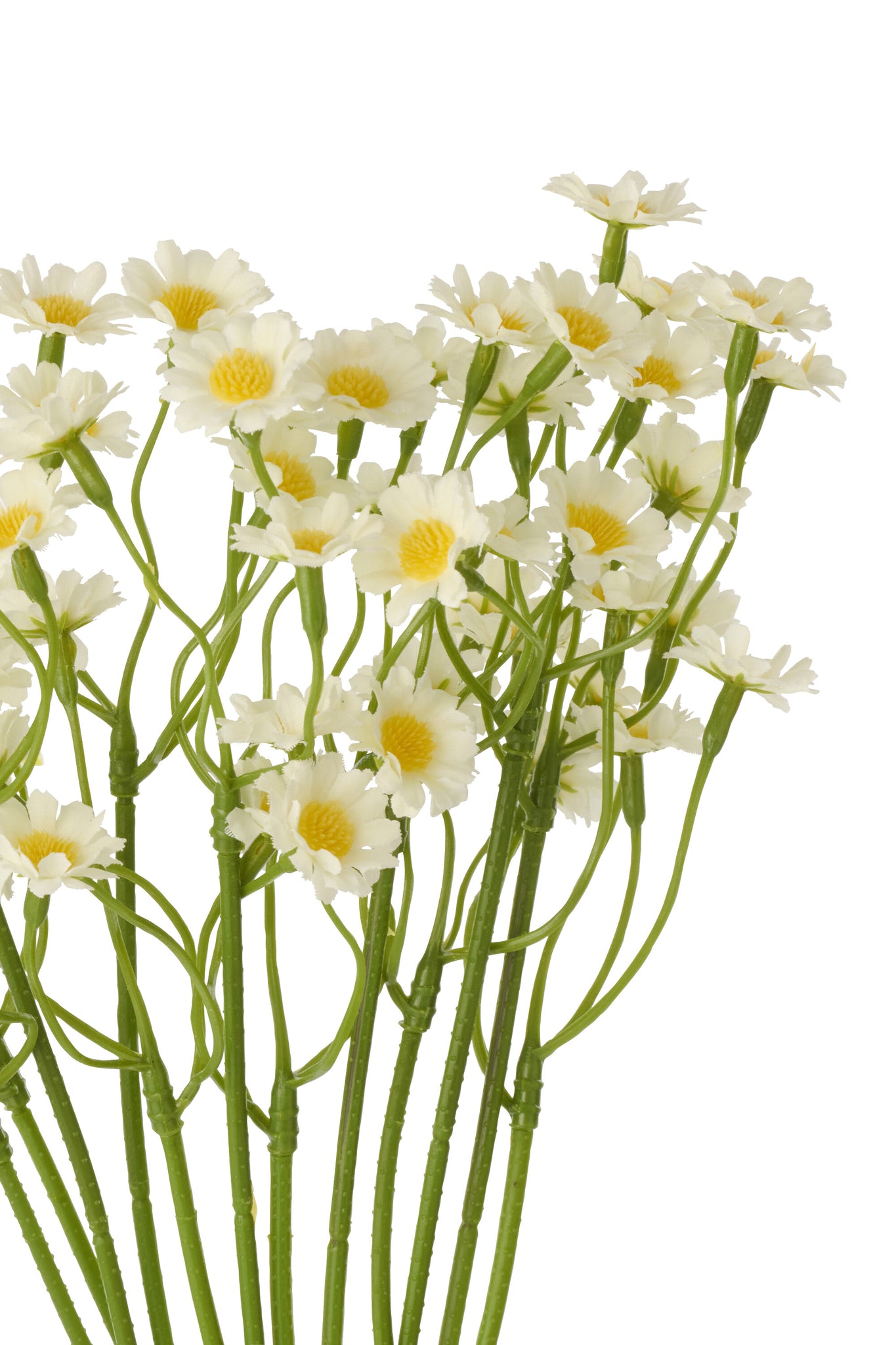 Gypsophila Fabric White/Light Pink Assortment Of 2 - Tuincentrum Lopik