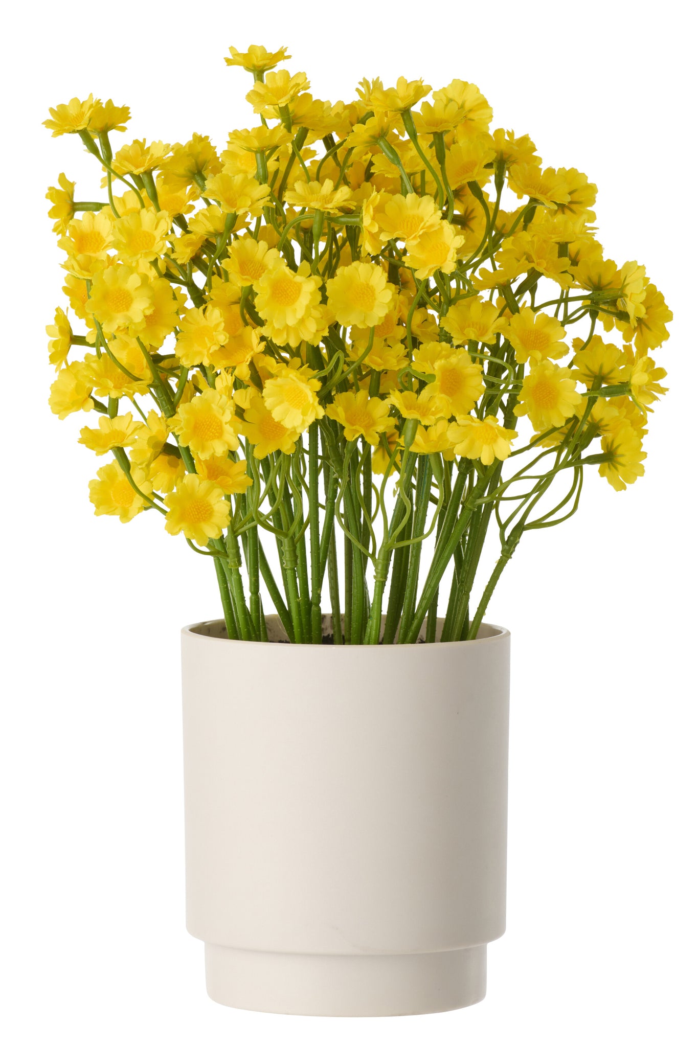 Daisy Pvc White - Tuincentrum Lopik