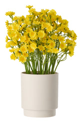 Daisy Pvc White - Tuincentrum Lopik