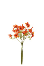 Bundle Of 3 Dogwood Textile Dark Orange - Tuincentrum Lopik