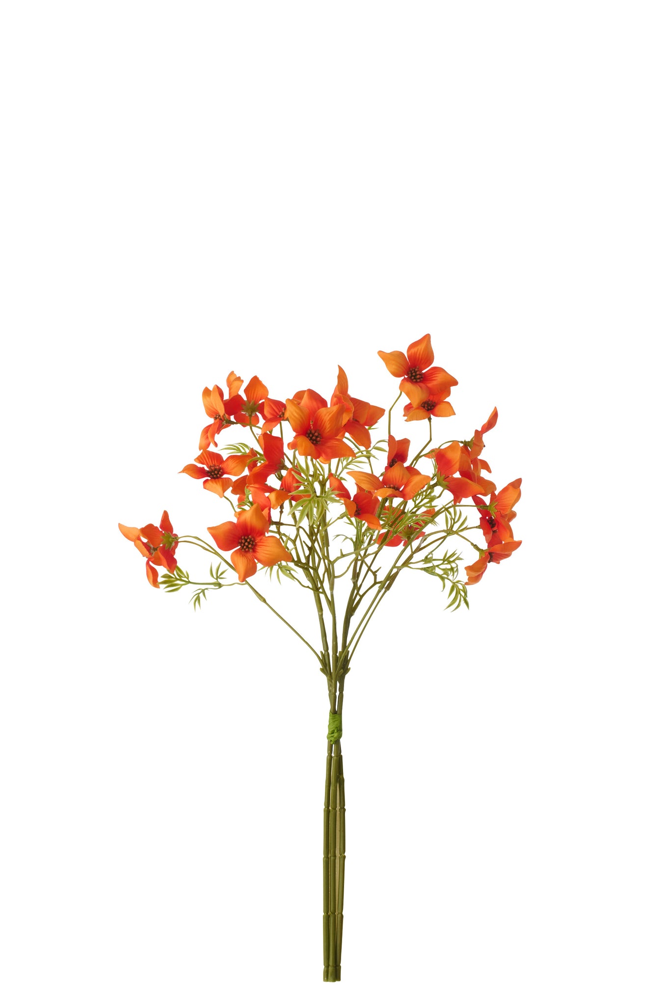 Bundle Of 3 Dogwood Textile Dark Orange - Tuincentrum Lopik