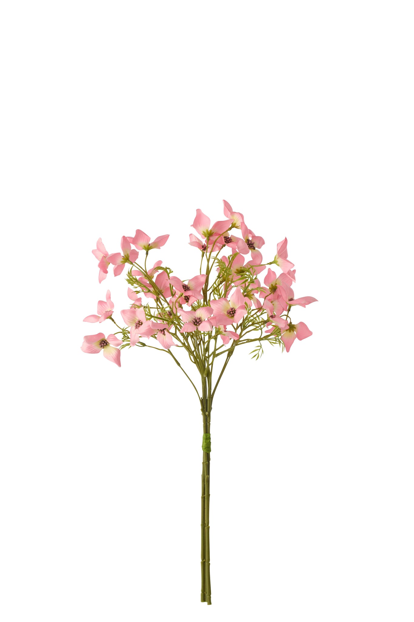 Bundle Of 3 Dogwood Textile Light Pink - Tuincentrum Lopik