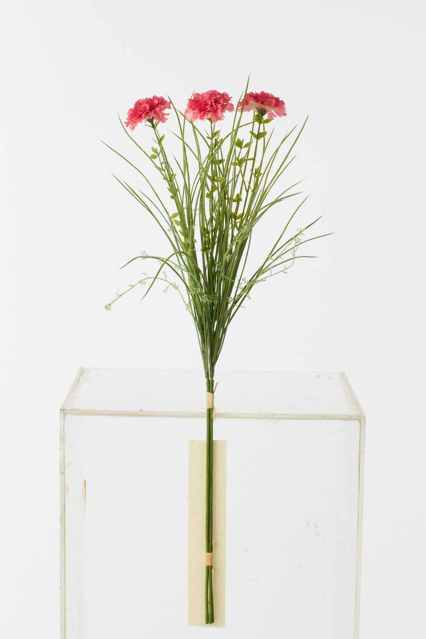 Bundle Of 3 Carnation Textile Fuchsia - Tuincentrum Lopik