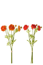 Bundle Of 3 Ranunculus Textile Dark Orange/Dark Red Large Assortment Of 2 - Tuincentrum Lopik