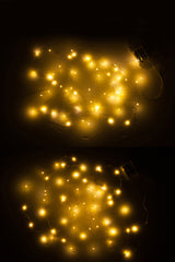 Giftbox 2 Christmas Lights Wire Gold/Silver 60Led Warm White Battery - Tuincentrum Lopik