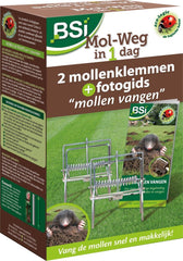 MOL-WEG IN 1 DAG