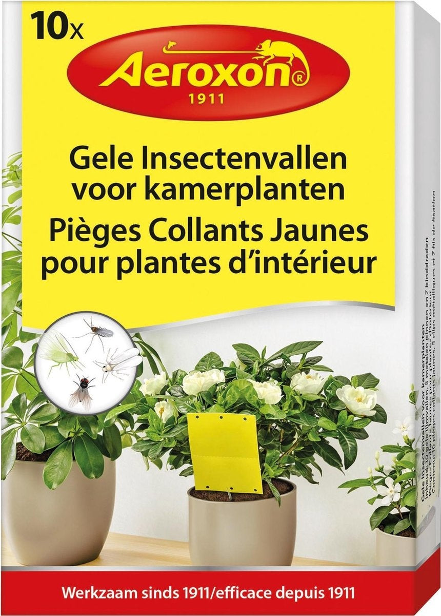 GELE INSECTENVALLEN VOOR KAMERPLANTEN 10 STUKS