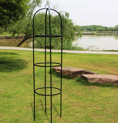Ceruzo Rozenzuil 40 X 191 Cm
