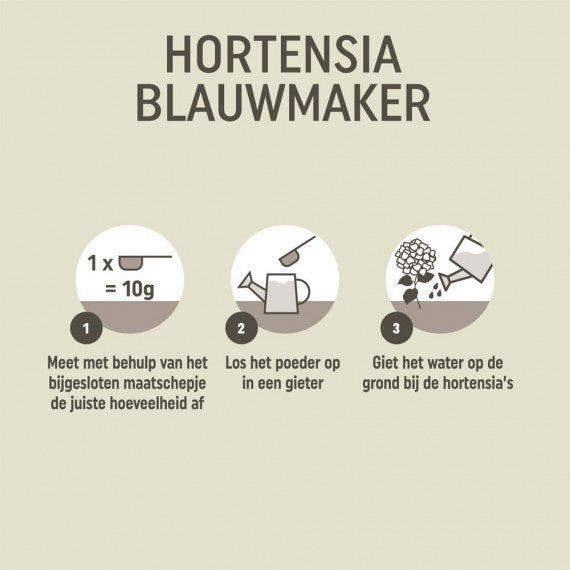  HORTENSIA BLAUWMAKER 500 GRAM