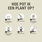  TERRAS & BALKON POTGROND BIO 20 LITER