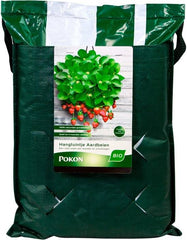 BIO HANGTUINTJE AARDBEIEN 10 LITER