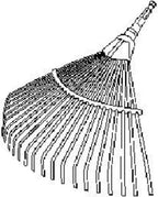 Bladhark 50 cm