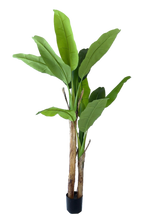 NEVERLEAFS BANANENPFLANZE KUNSTPFLANZE 160 CM