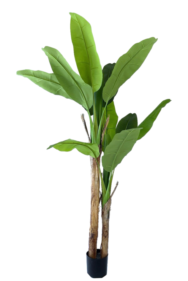NEVERLEAFS BANANENPFLANZE KUNSTPFLANZE 160 CM