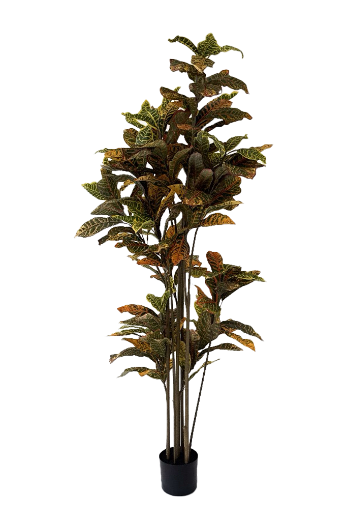 NEVERLEAFS FICUS DELUXE KUNSTPFLANZE 180 CM