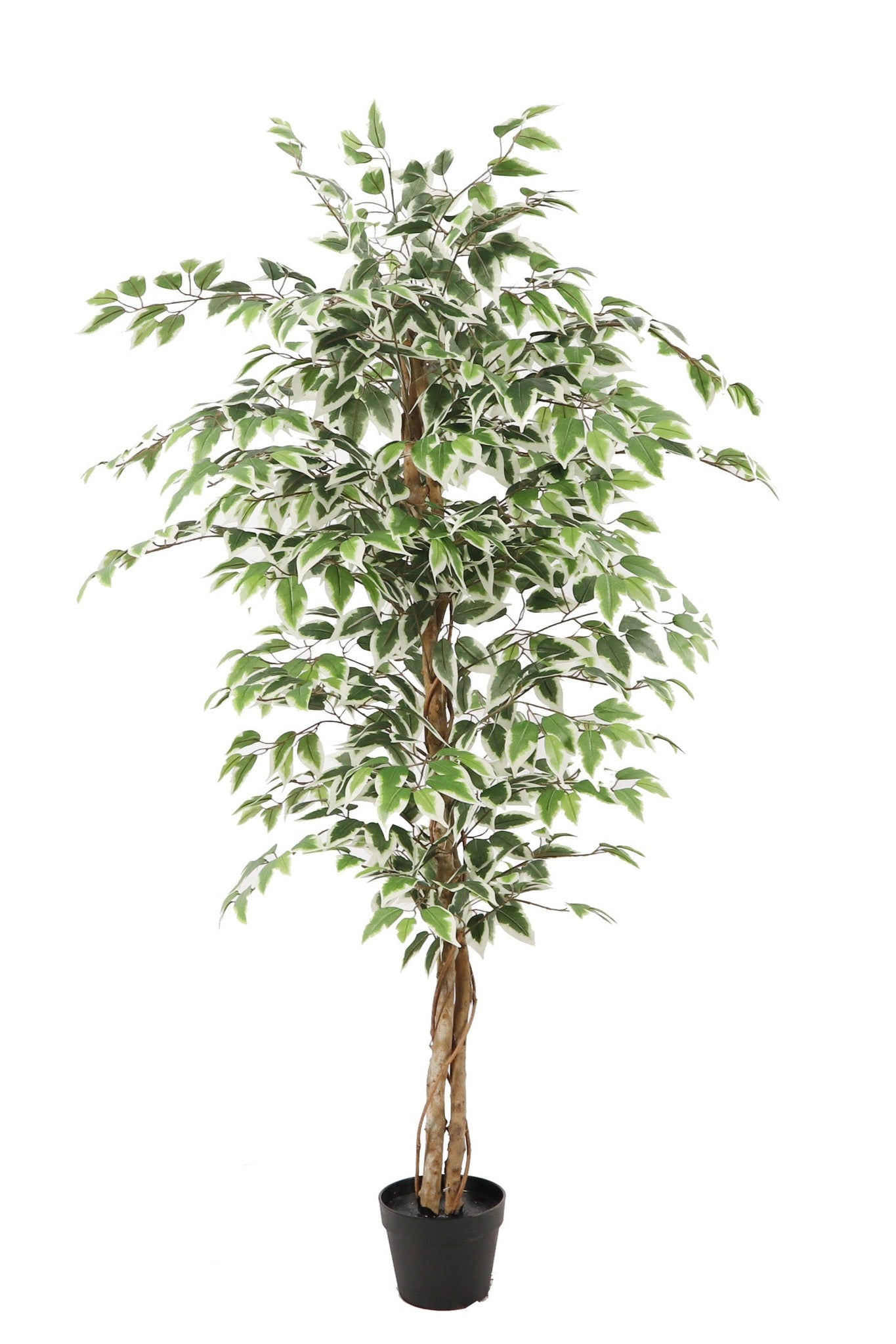 NEVERLEAFS KÜNSTLICHE FICUS-PFLANZE GRÜN 160 CM
