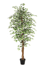 NEVERLEAF KUNSTPFLANZE FICUS GRÜN 180 CM