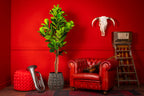 NEVERLEAFS FIDDLE LEAF FIG KUNSTPLANT VIOOLBLADPLANT 185 CM