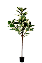 NEVERLEAFS KÜNSTLICHE FICUS LYRATA DELUXE 160 CM