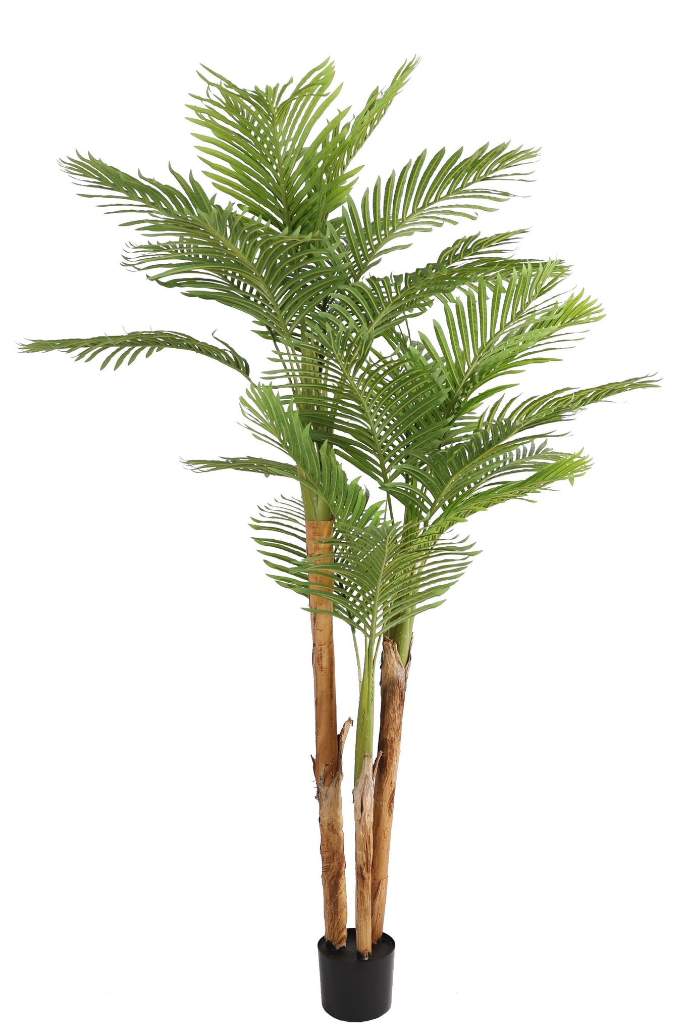 NEVERLEAFS KUNSTPLANT KENTIA PALM 190 CM TROPISCH