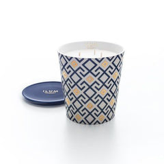MAX BENJAMIN ILUM FIG ARABESQUE GEURKAARS KLEIN 715G - Tuincentrum Lopik