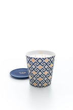 MAX BENJAMIN ILUM FIG ARABESQUE GEURKAARS KLEIN 715G - Tuincentrum Lopik