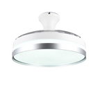 REALITY PLAFONDVENTILATOR LINDBERG LED TITAAN/WIT 100 CM